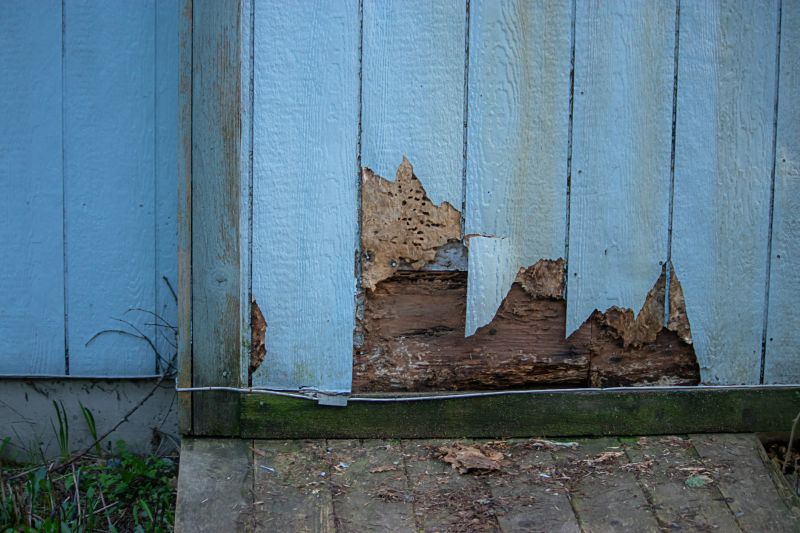 Siding Repair